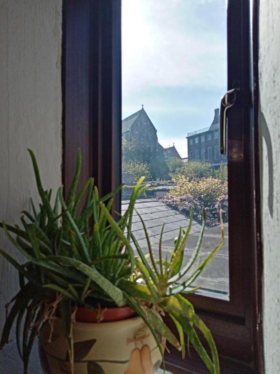 Townhouse Wexfordヴィラ エクステリア 写真
